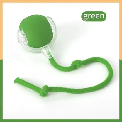 Rechargeable Smart Cat Toy – Automatic Rolling Ball with Tail for Interactive Play