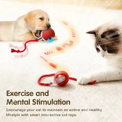 Rechargeable Smart Cat Toy – Automatic Rolling Ball with Tail for Interactive Play