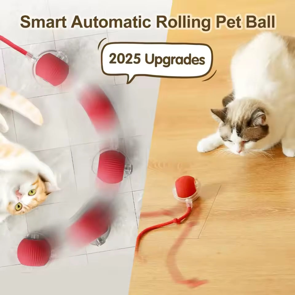Rechargeable Smart Cat Toy – Automatic Rolling Ball with Tail for Interactive Play