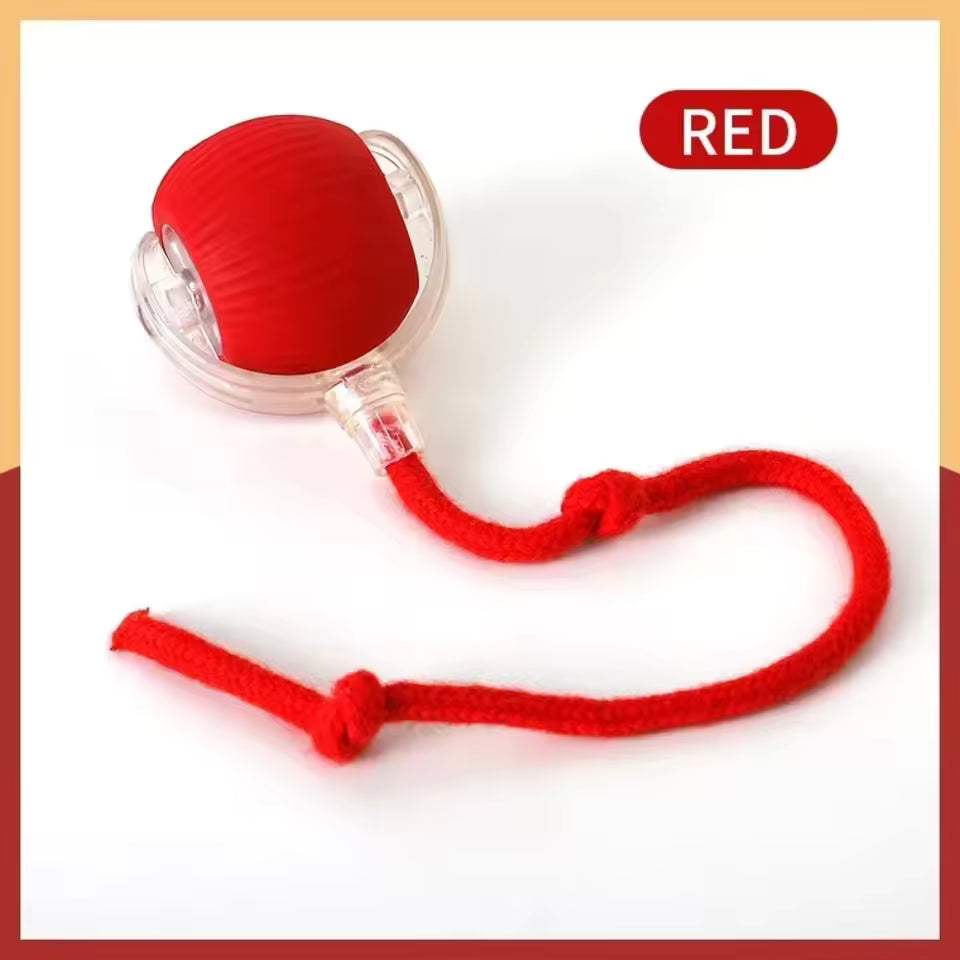 Rechargeable Smart Cat Toy – Automatic Rolling Ball with Tail for Interactive Play