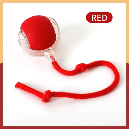 Rechargeable Smart Cat Toy – Automatic Rolling Ball with Tail for Interactive Play