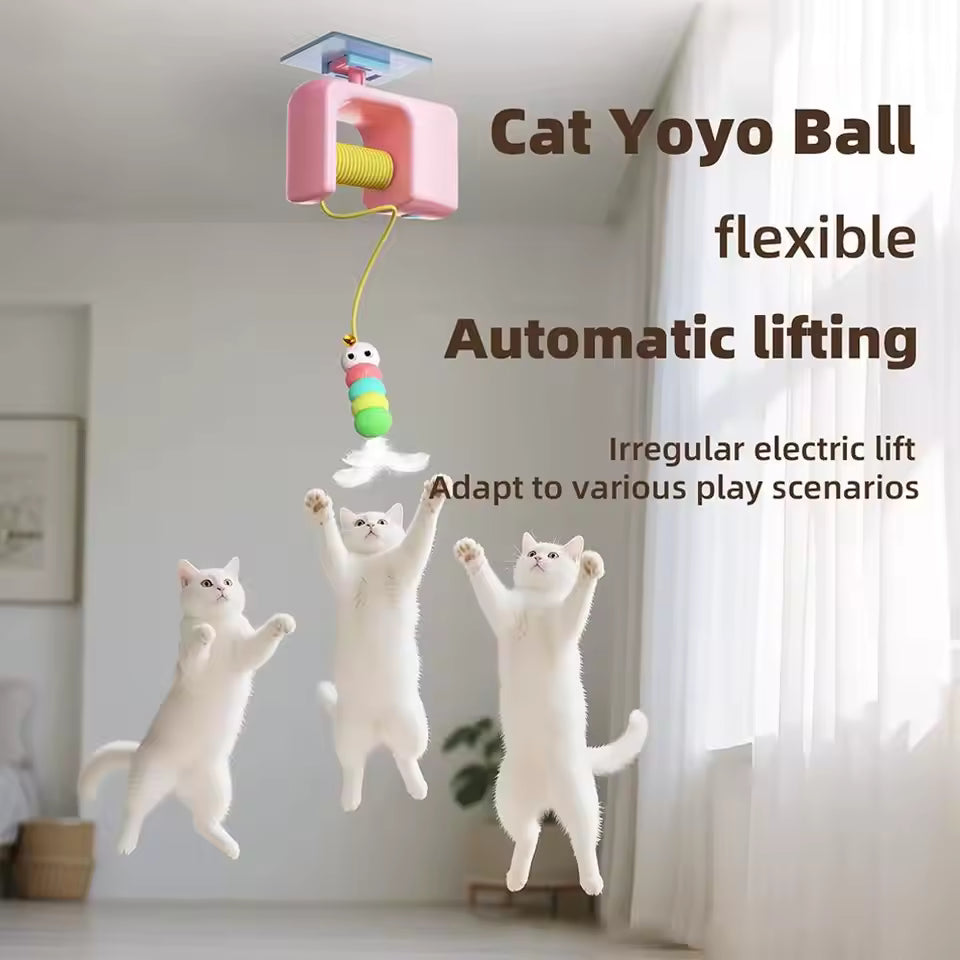 Interactive Electric Cat Toy – Flying Bird Teaser with Elastic Rope for Exercise & Fun